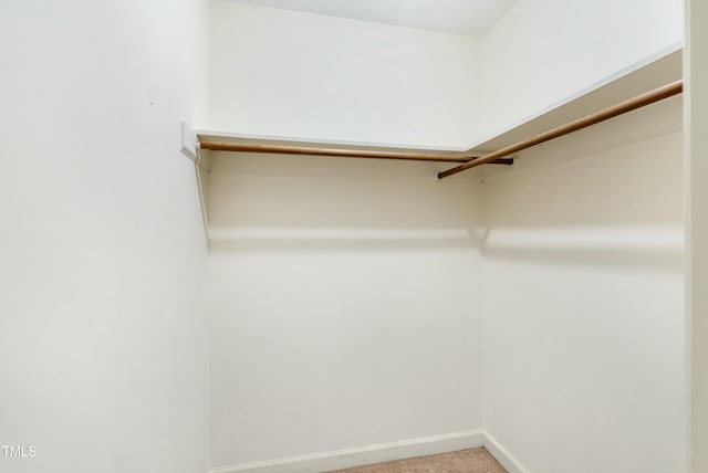 walk in closet featuring light colored carpet