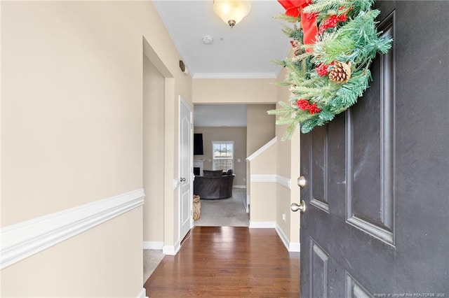 entrance foyer with wood finished floors, baseboards, and ornamental molding