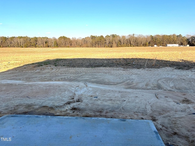 view of yard featuring a wooded view