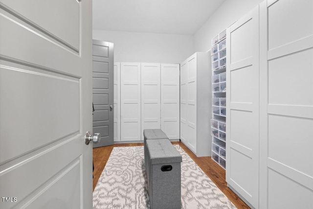 walk in closet featuring dark wood-type flooring