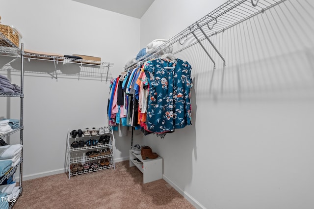 spacious closet with carpet