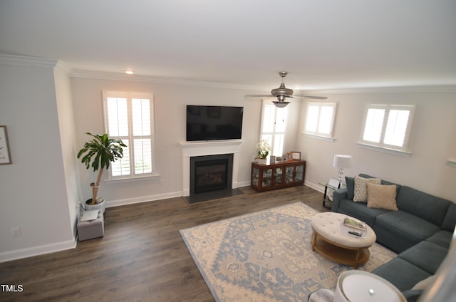 living area featuring a fireplace with flush hearth, ornamental molding, dark wood finished floors, baseboards, and ceiling fan