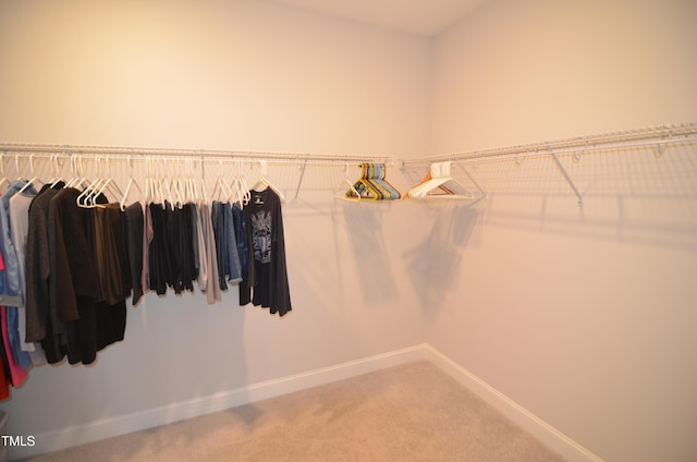 spacious closet featuring carpet floors