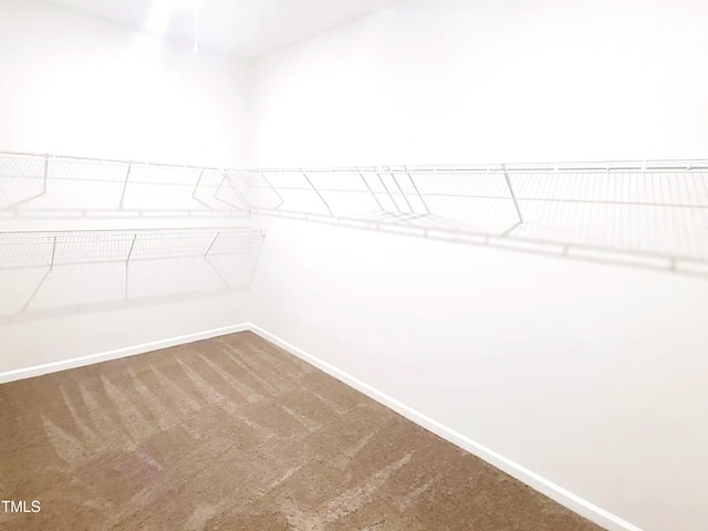 walk in closet featuring carpet flooring