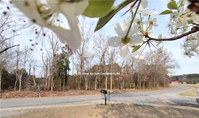 LOT7 Castleberry Rd, Sanford NC, 27332 land for sale