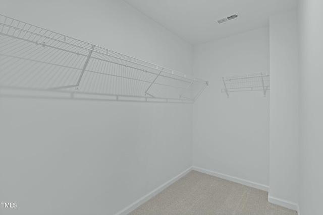 spacious closet featuring carpet flooring and visible vents