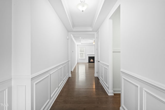 hall with crown molding, dark wood finished floors, a tray ceiling, wainscoting, and a decorative wall