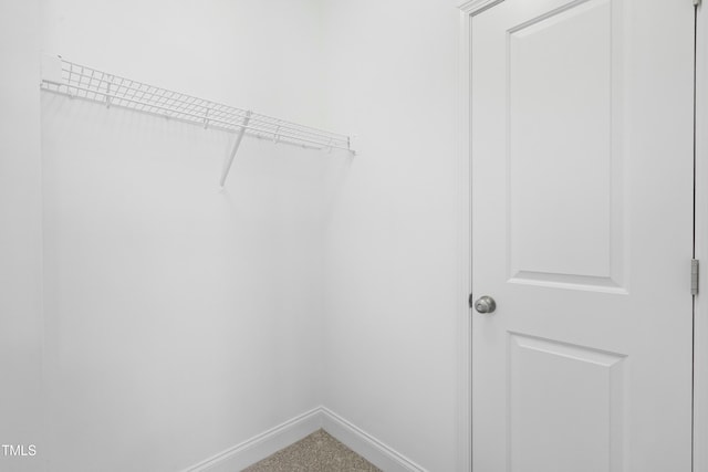 spacious closet featuring carpet