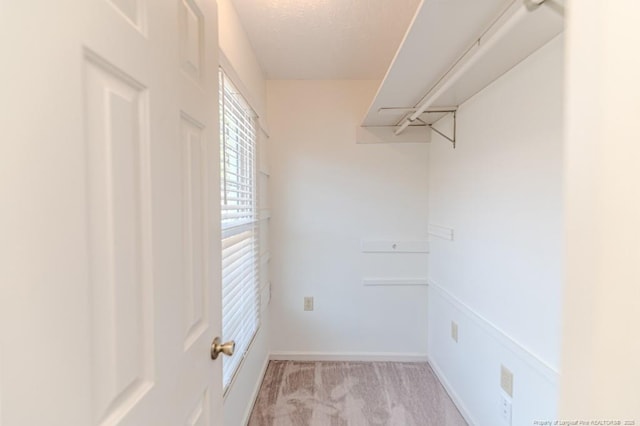 spacious closet with light carpet