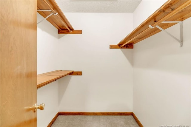 walk in closet with carpet flooring