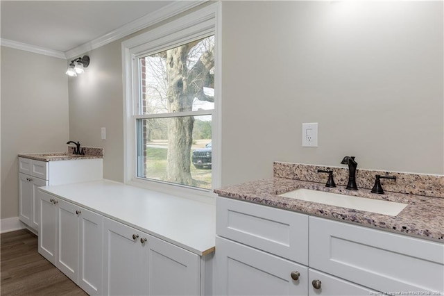 bathroom featuring crown molding, vanity, and wood finished floors
