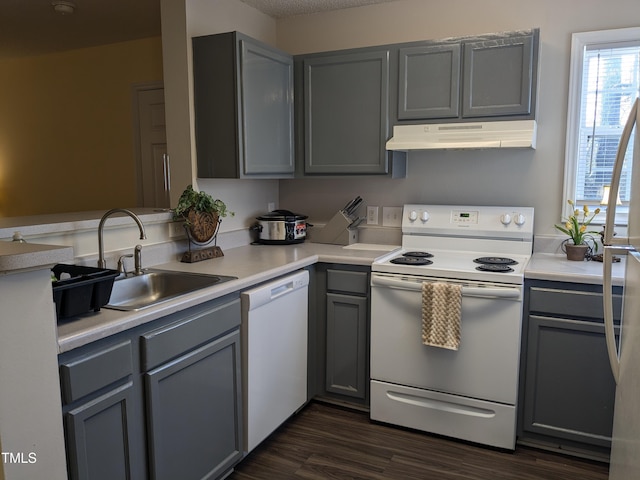 kitchen with white appliances, dark wood finished floors, gray cabinets, a sink, and under cabinet range hood