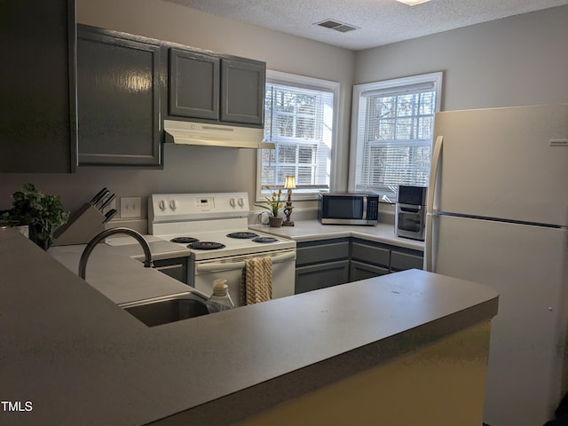 kitchen featuring visible vents, under cabinet range hood, a sink, a textured ceiling, and white appliances