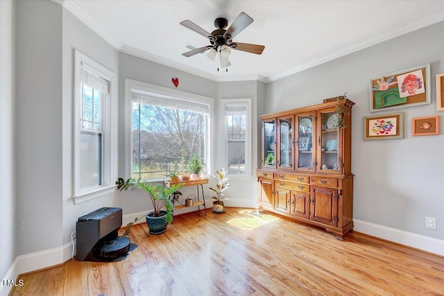1624 Struble Cir, Willow Springs, NC 27592 - sitting room with light wood-style floors, ornamental molding, and a ceiling fan