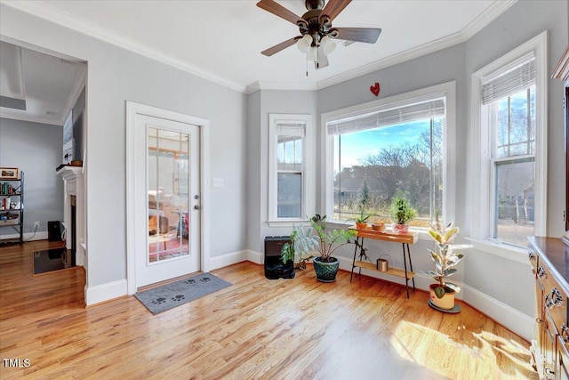 1624 Struble Cir, Willow Springs, NC 27592 - doorway featuring wood finished floors, ceiling fan, crown molding, and a fireplace