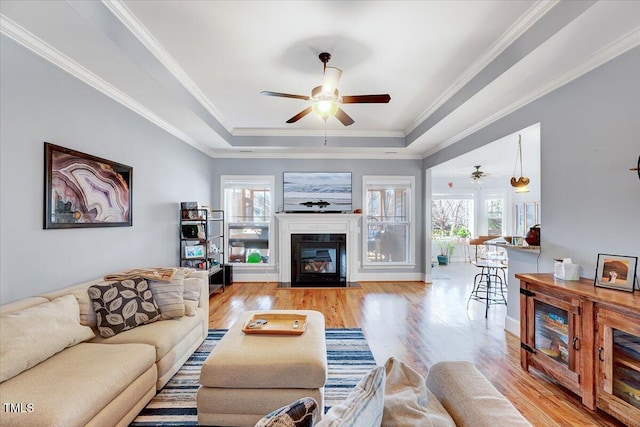 1624 Struble Cir, Willow Springs, NC 27592 - living room featuring a ceiling fan, a tray ceiling, light wood-type flooring, a fireplace with flush hearth, and ornamental molding