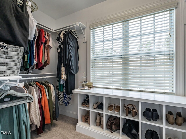 730 Toms Creek Rd, Cary, NC 27519 - walk in closet featuring carpet floors