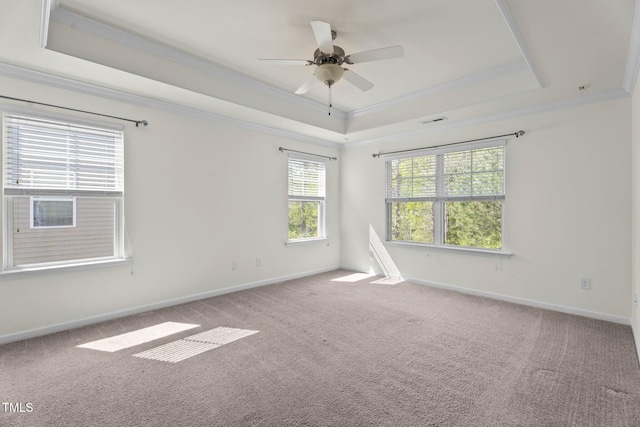 69 Florence Dr, Clayton, NC 27527 - unfurnished room with carpet flooring, a tray ceiling, crown molding, and a healthy amount of sunlight