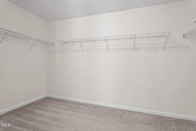 69 Florence Dr, Clayton, NC 27527 - spacious closet with carpet floors