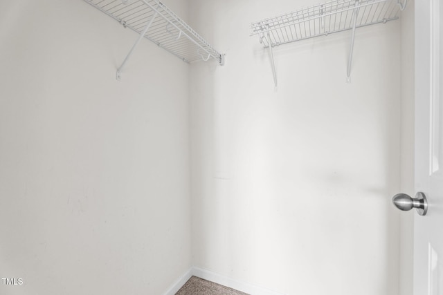 69 Florence Dr, Clayton, NC 27527 - view of walk in closet