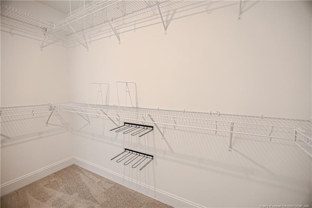 walk in closet with carpet