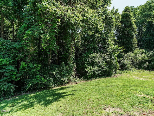 230 Paula Dr, Angier, NC 27501 - photo 49