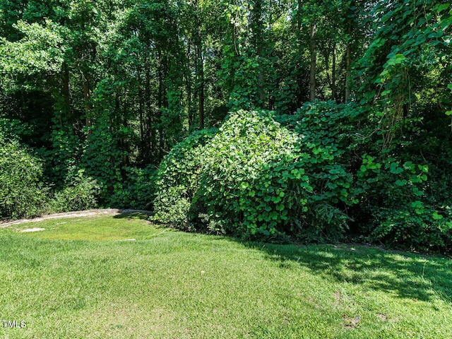 230 Paula Dr, Angier, NC 27501 - photo 50