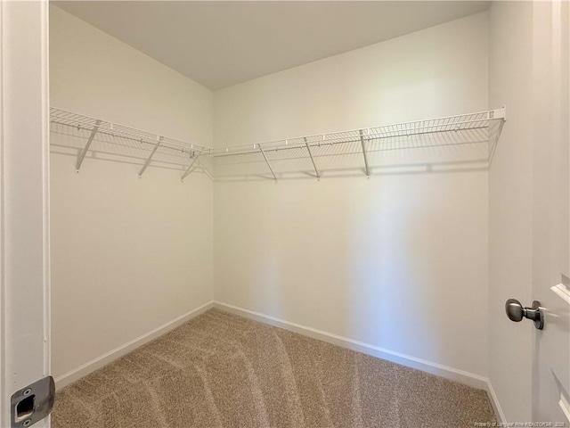266 Guard Ln, Parkton, NC 28371 - photo 17