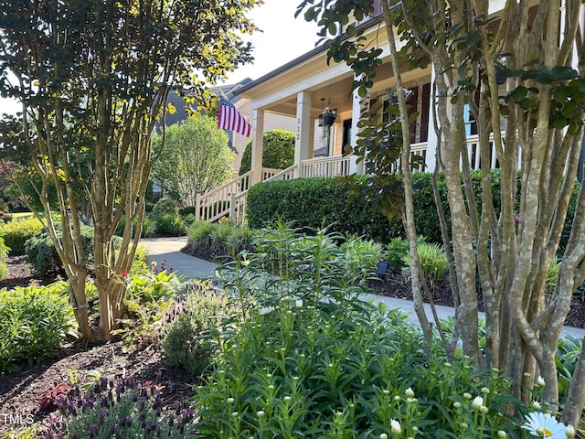 view of yard with covered porch