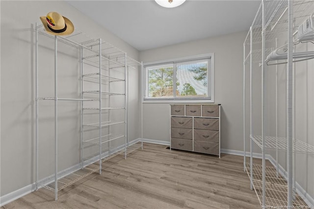 walk in closet with light wood-style floors