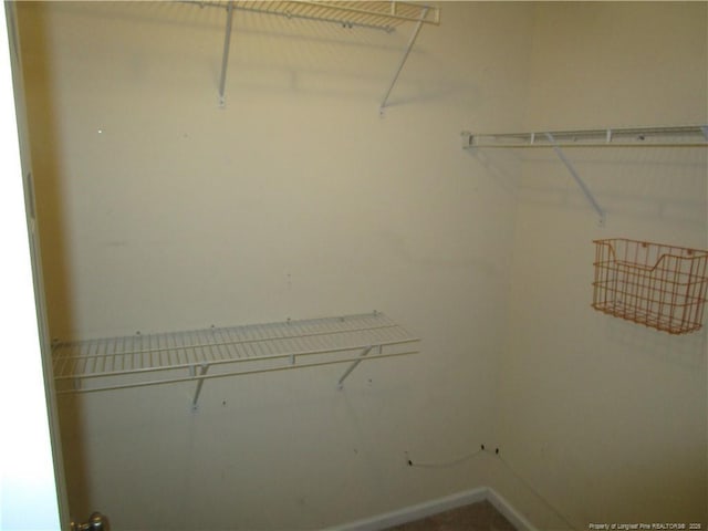 view of walk in closet