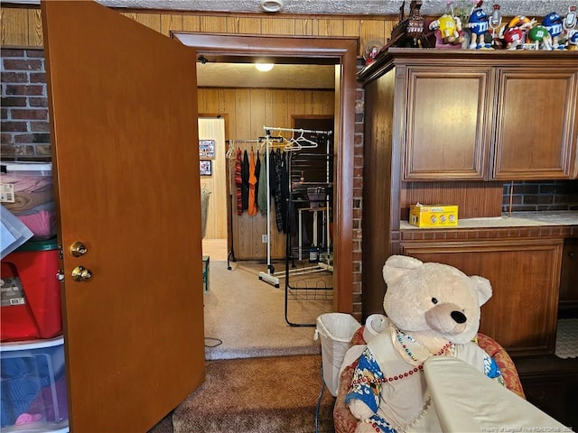 interior space featuring brown cabinetry, wood walls, and carpet