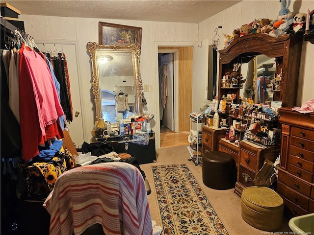 spacious closet with carpet