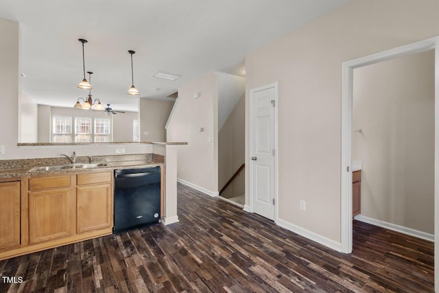 kitchen featuring black dishwasher, baseboards, a sink, and dark wood-type flooring
