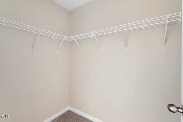spacious closet with carpet floors