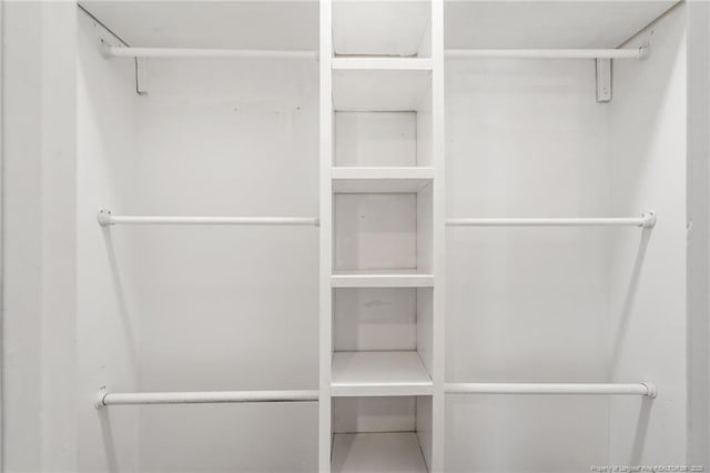 view of spacious closet