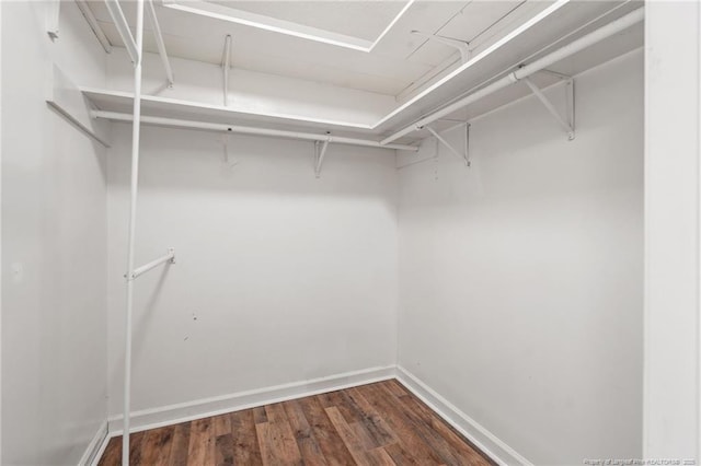 spacious closet with wood finished floors