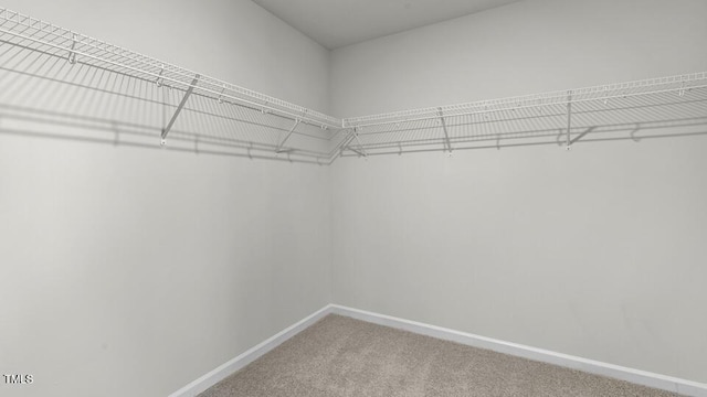 3040 Platinum Cir W, End, NC 27376 - walk in closet with carpet