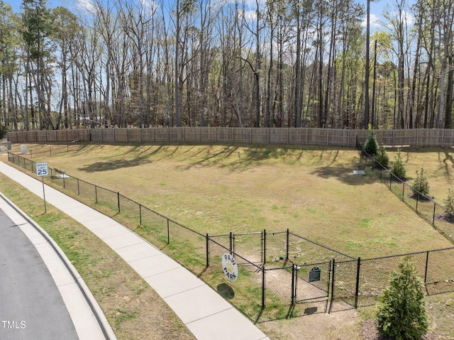 view of yard with fence, a gate, and a rural view
