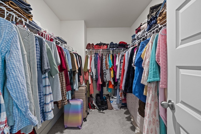 walk in closet with carpet floors