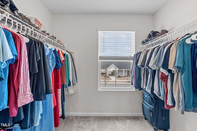 656 Dallas Rose Dr, Wendell, NC 27591 - spacious closet with carpet
