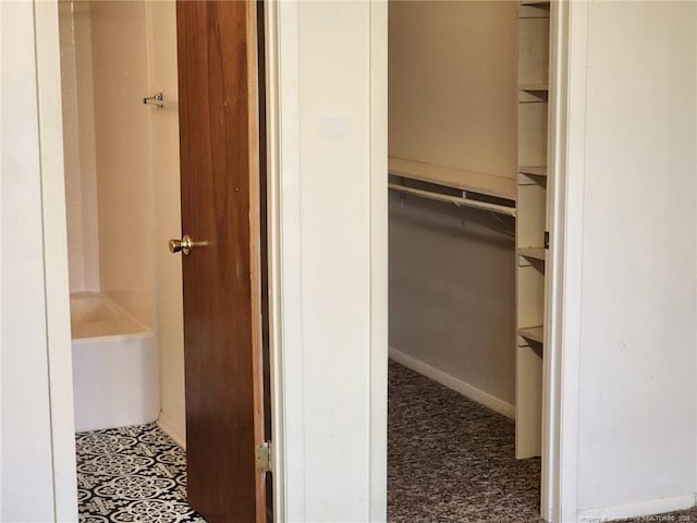 bathroom featuring a bathing tub