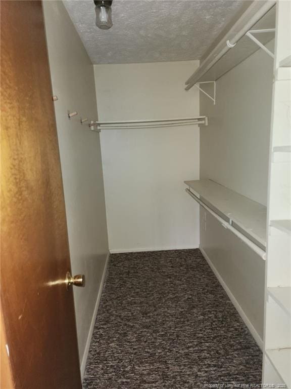 walk in closet with carpet floors