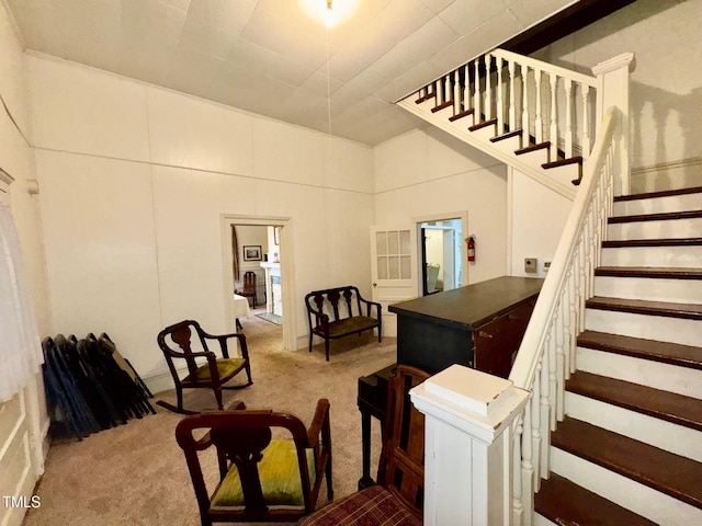 4715 Jacksontown Rd, Manson, NC 27553 - stairs with carpet floors