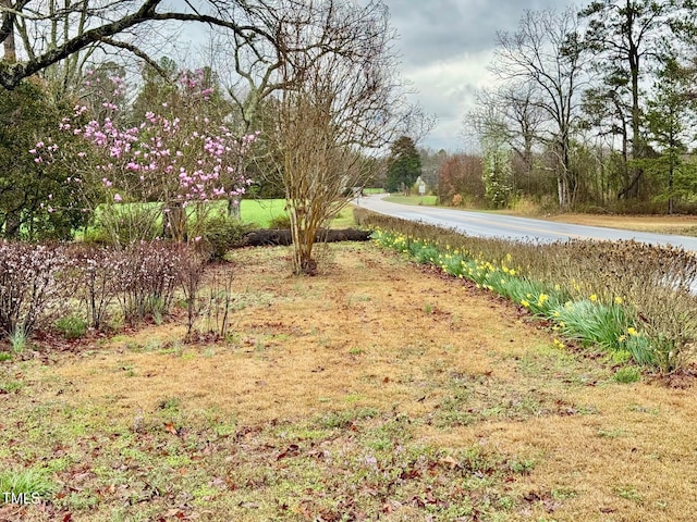 4715 Jacksontown Rd, Manson, NC 27553 - view of yard