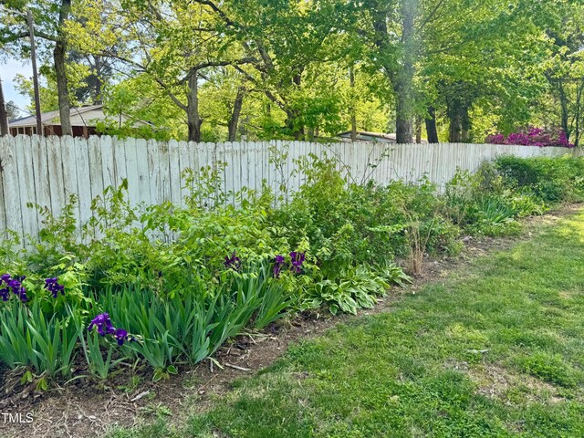 4715 Jacksontown Rd, Manson, NC 27553 - view of yard featuring a fenced backyard