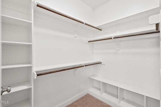 spacious closet with carpet flooring