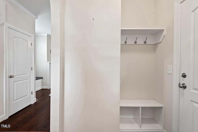 mudroom with dark wood finished floors and crown molding