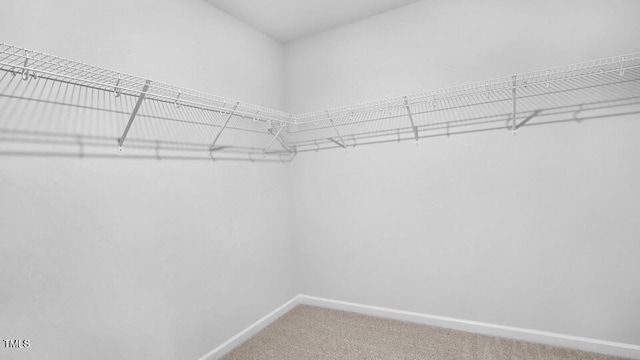1005 Ocean Ct, Carthage, NC 28327 - spacious closet with light carpet