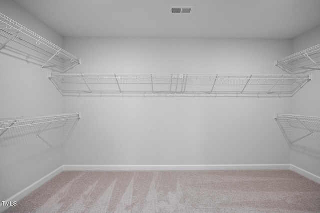 spacious closet featuring carpet flooring and visible vents